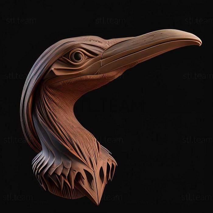 3D модель Otiorhynchus balcanicus (STL)